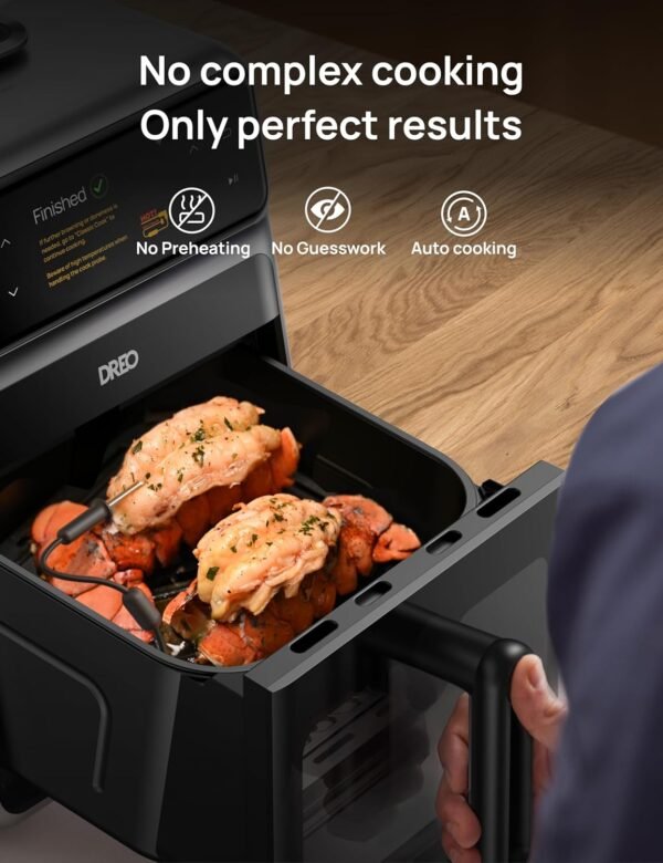 Dreo ChefMaker Combi Fryer review Smart Air Fryer with advanced cooking features