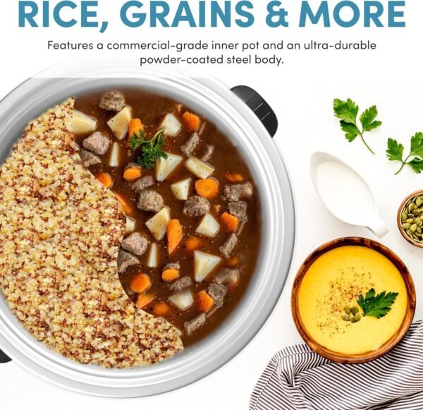 Review of Aroma Commercial 60-Cup Rice Cooker ARC-1430E for Large Kitchens